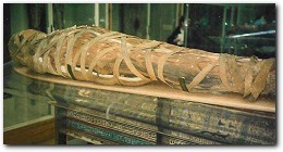 Click to see larger image