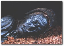 Click to see larger image