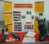 Click to see larger picture