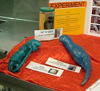 Click to see larger picture