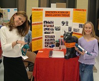 Click to see larger picture